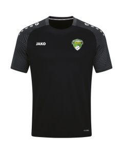 Jako T-Shirt Performance Floorball Albis Damen